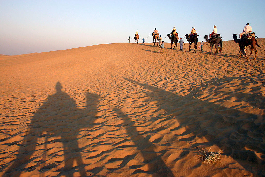 Desert Triangle Tours in India with Camel Safari Tours in India  